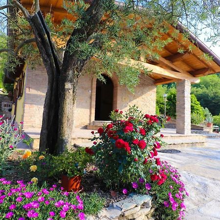Agriturismo La Tana Città di Castello Екстериор снимка