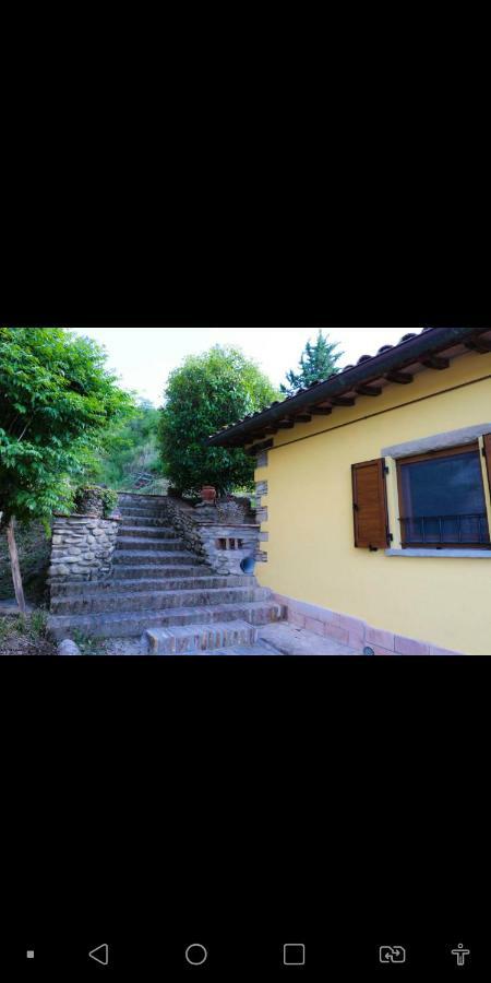 Agriturismo La Tana Città di Castello Екстериор снимка