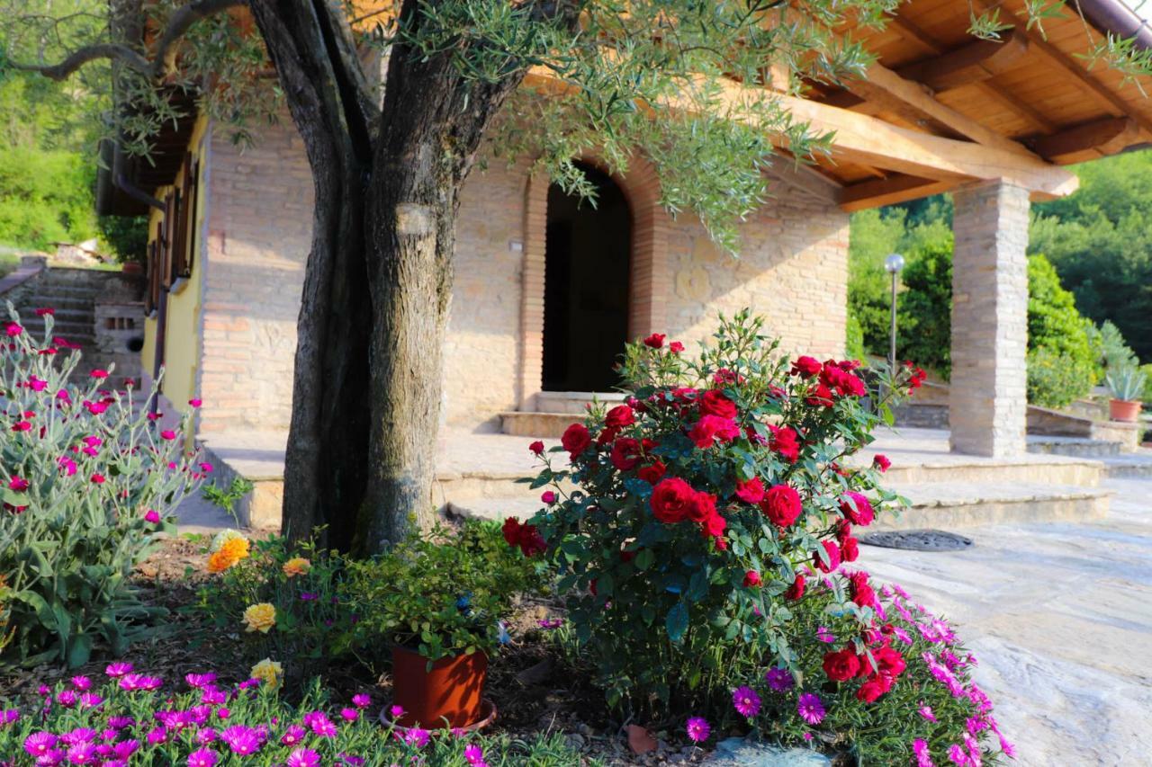 Agriturismo La Tana Città di Castello Екстериор снимка