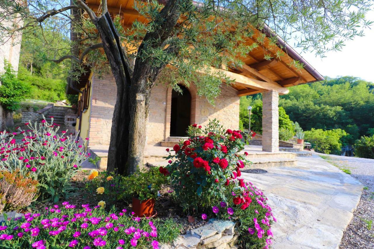Agriturismo La Tana Città di Castello Екстериор снимка